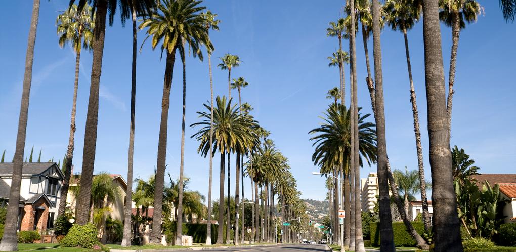 beverly hills